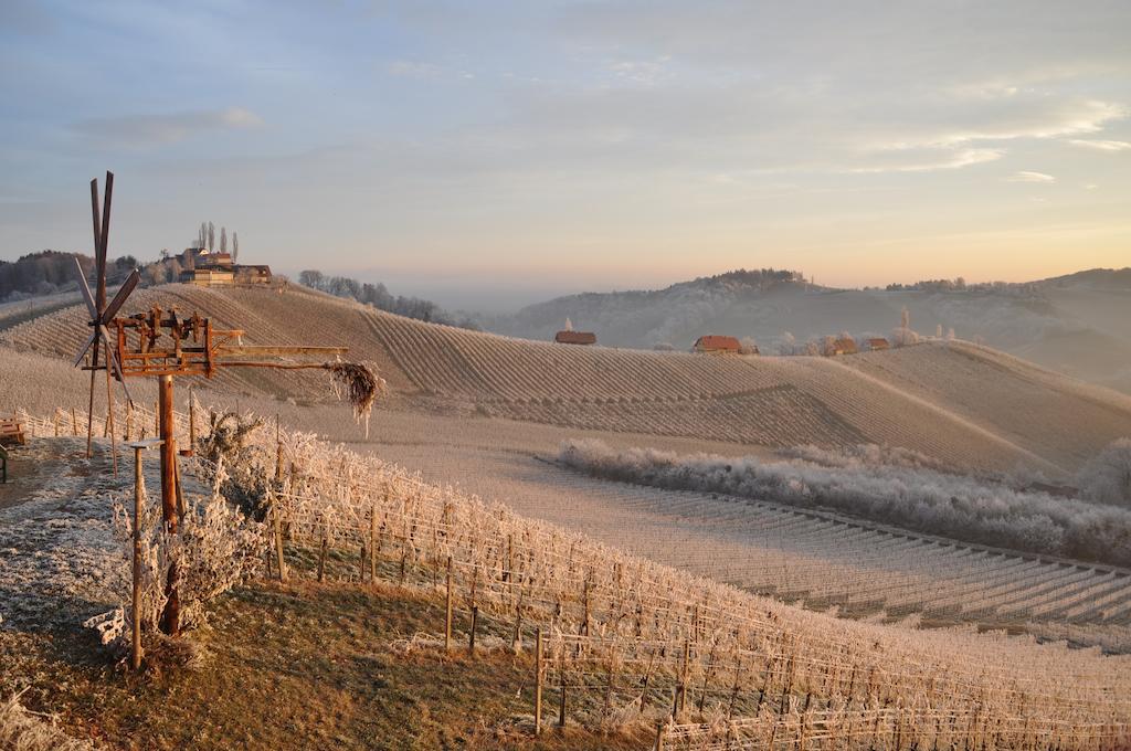 Weingut Koegl Ratsch an der Weinstrasse Exterior foto
