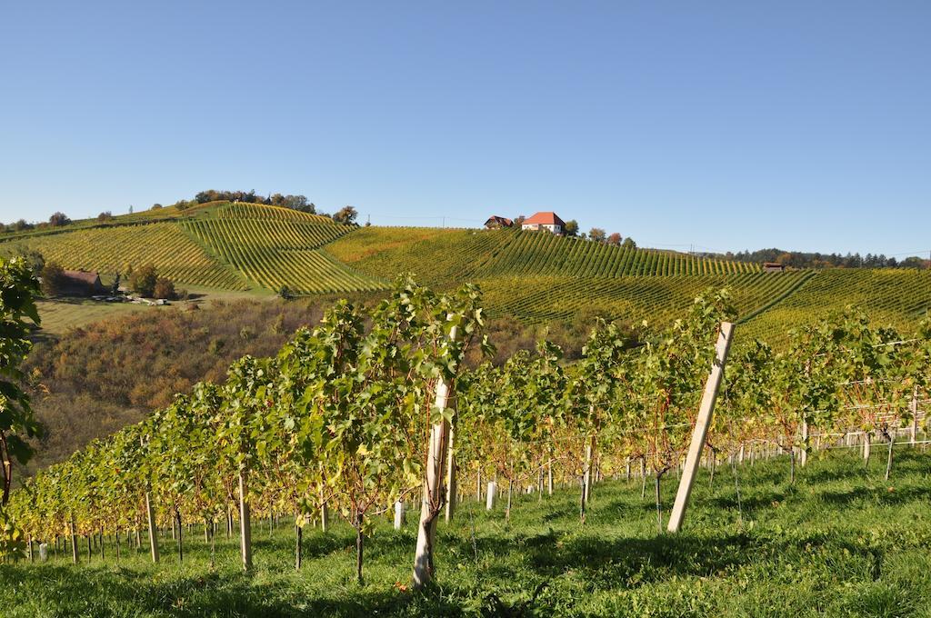 Weingut Koegl Ratsch an der Weinstrasse Exterior foto
